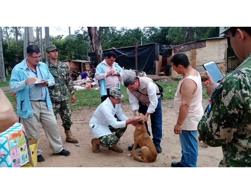 Vacunación antirrábica e inspección de mascotas en albergues