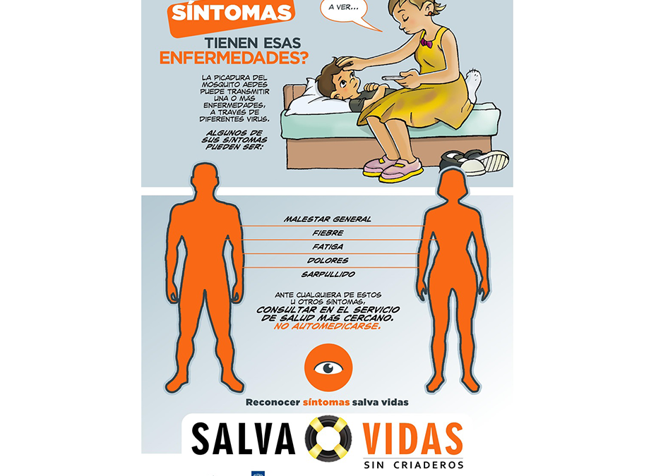 Los cuatro serotipos de dengue pueden ser graves y mortales