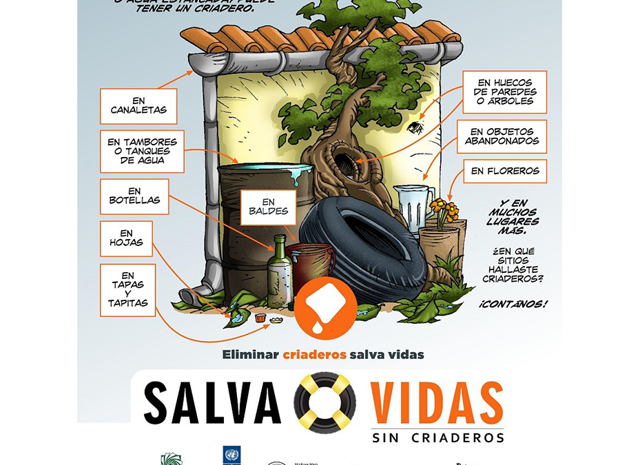 Casos de dengue superan los 10 mil este año: urge tomar conciencia