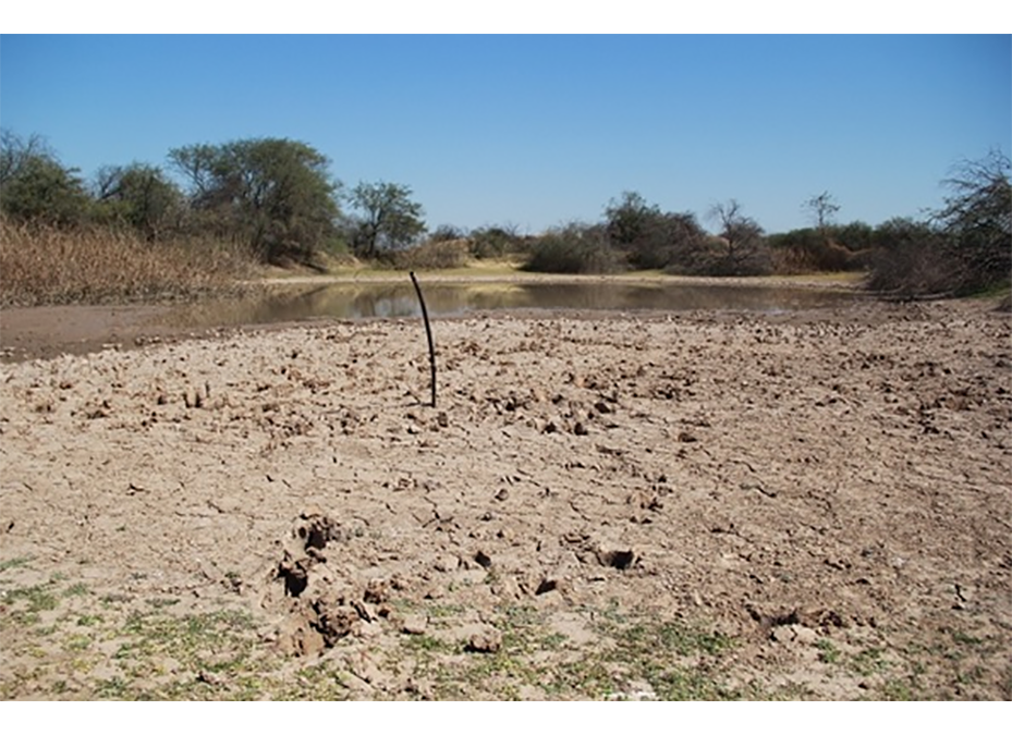 Sequía puede incidir en aumento de infecciones respiratorias y empeoramiento de cuadros crónicos