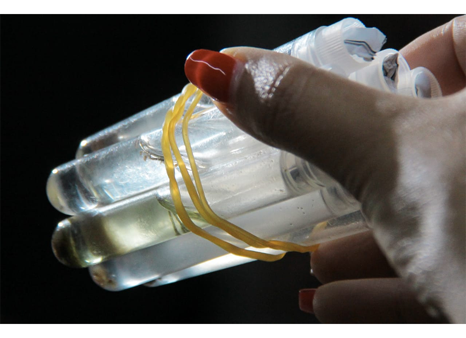 Alertan sobre altos índices de infestación en todo el país