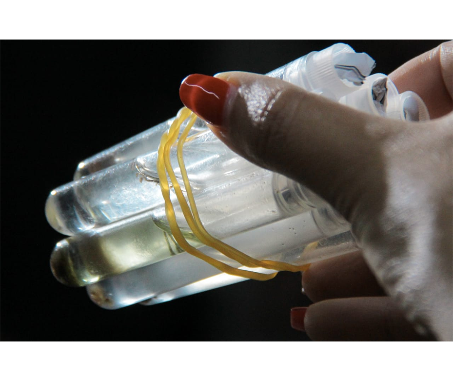 Alertan sobre altos índices de infestación en todo el país – 27-12-2019