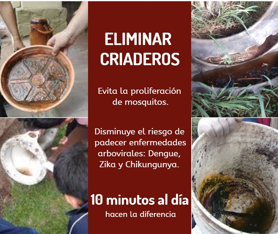 Año Nuevo sin criaderos – 30-12-2019