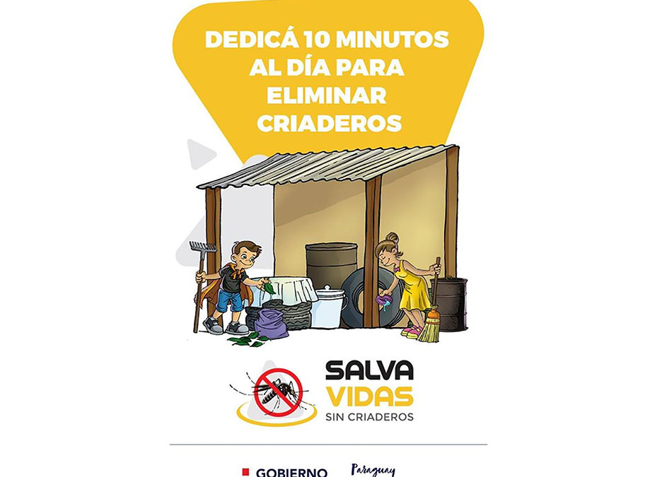 Dengue, otro virus que no debe dejarse de lado