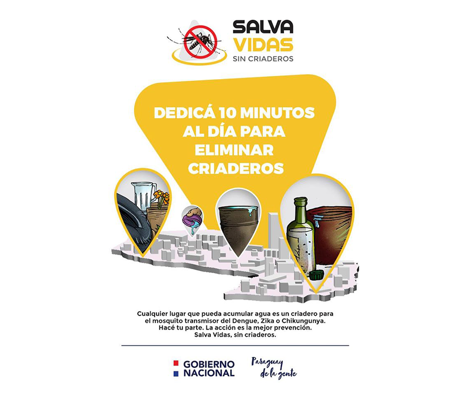 En una semana, 20 mil criaderos inactivados en Asunción y Central – 13-12-2019