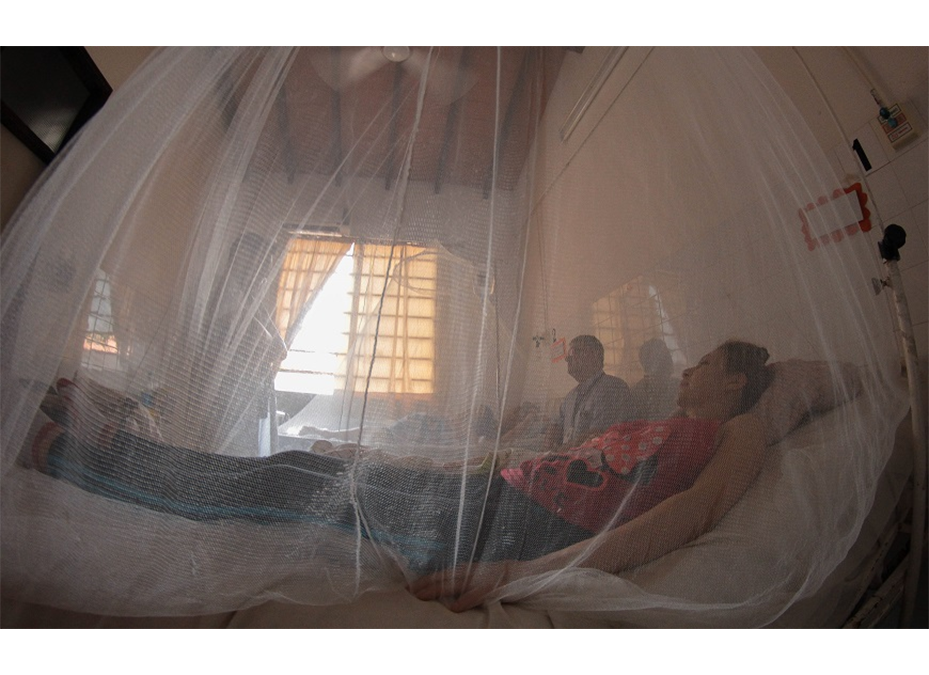 Dengue: un nuevo episodio puede registrarse 6 meses después del anterior