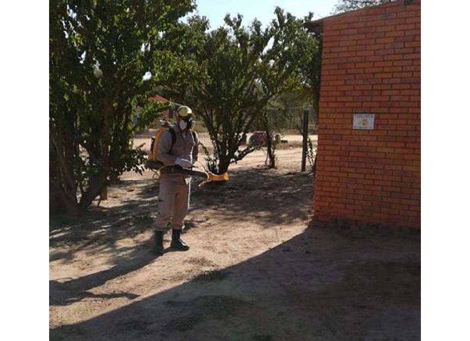 Realizan fumigaciones en escuelas y colegios, previo al inicio de clases
