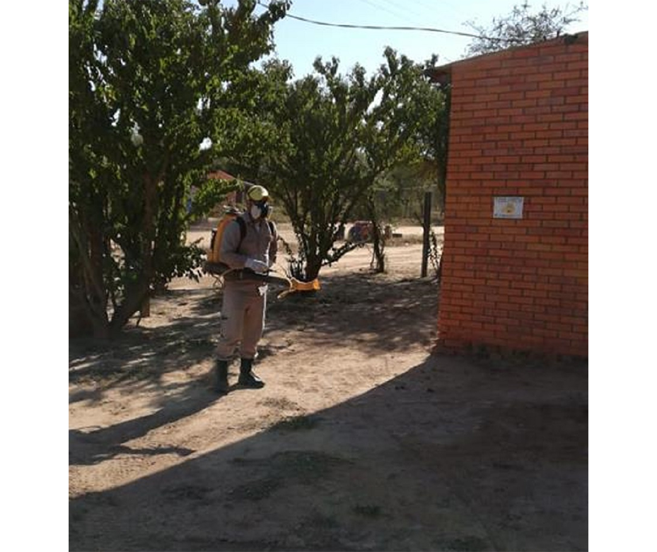 Realizan fumigaciones en escuelas y colegios, previo al inicio de clases – 03-02-2020