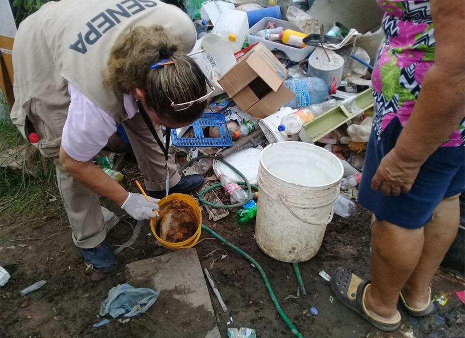 «Seguimos encontrando criaderos en las casas»