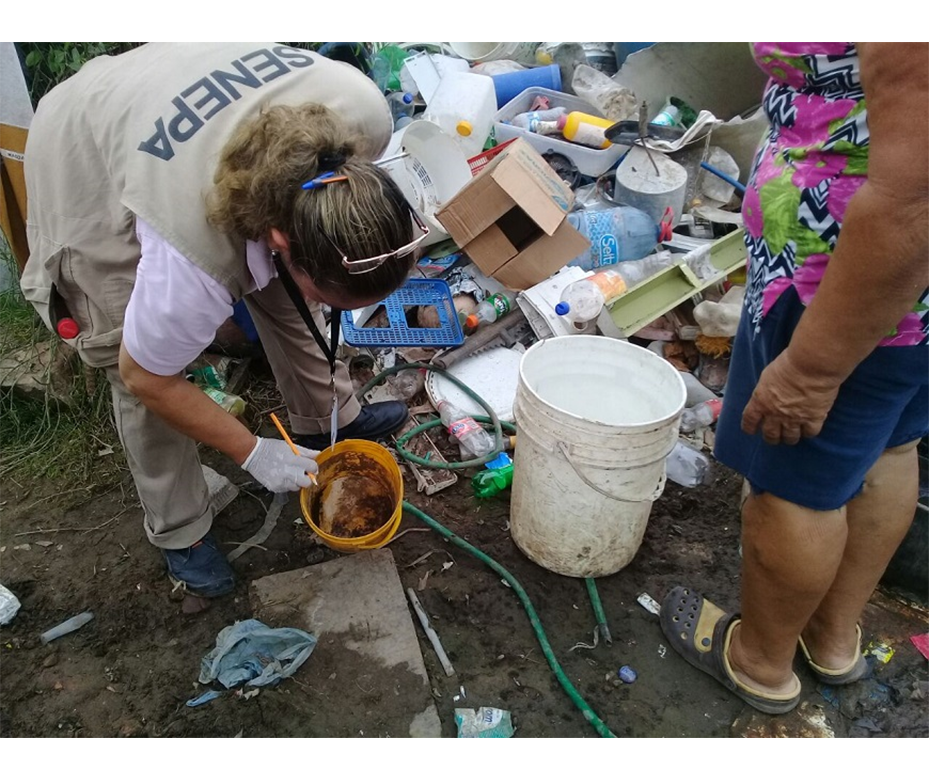 Seguimos encontrando criaderos en las casas – 14-02-2020