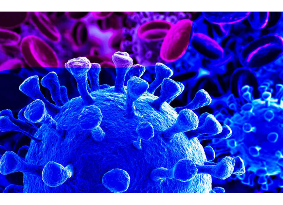 Tuberculosis y COVID-19