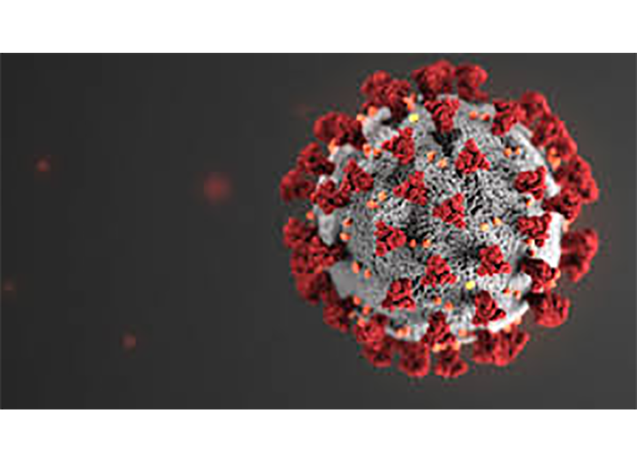 Unos 1.671 connacionales cumplen aislamiento obligatorio en albergues