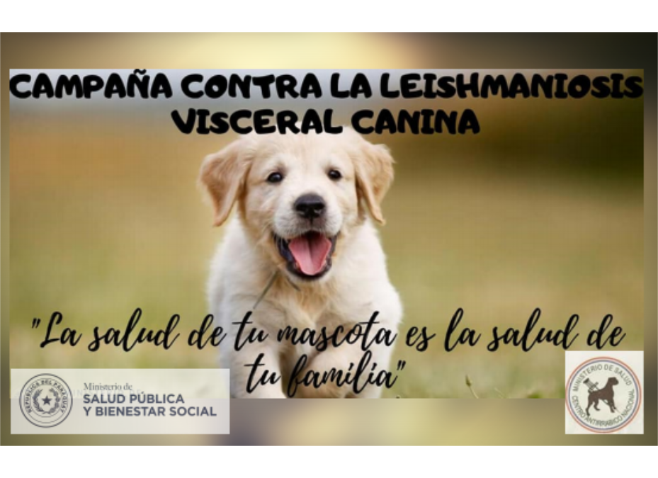 Inicia campaña de detección de leishmaniosis en perros