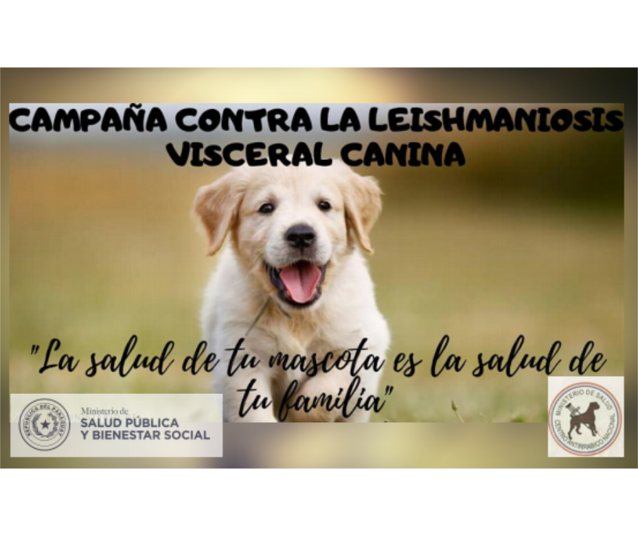 Campaña contra leishmaniosis visceral convocan a veterinarios del privado a adherirse a la causa – 07-06-2020
