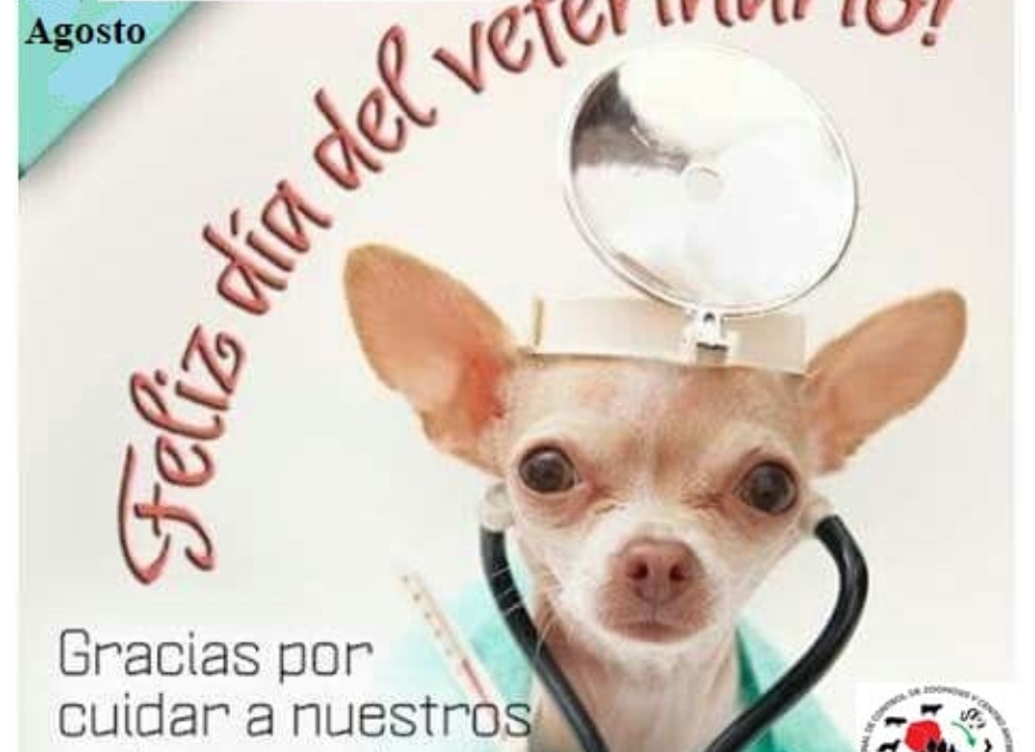 Al año, 3.000 mascotas son atendidas en consultorios del Programa de Control de Zoonosis