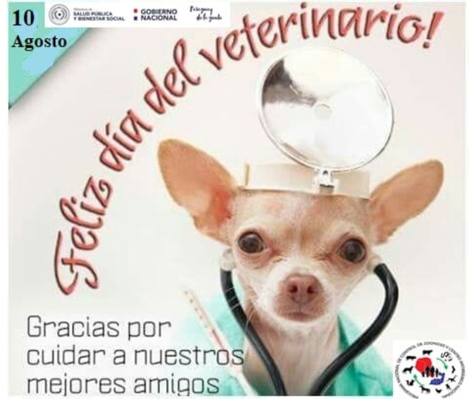 Al año 3.000 mascotas son atendidas en consultorios del Programa de Control de Zoonosis – 10-08-2020