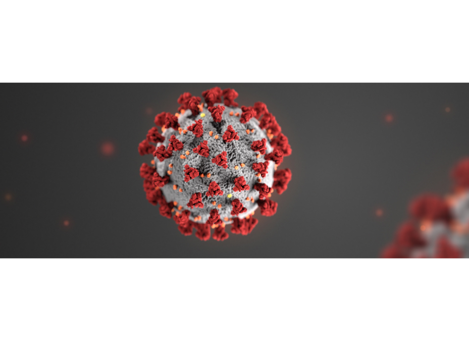 OPS lanza alerta ante complicaciones y secuelas por COVID-19