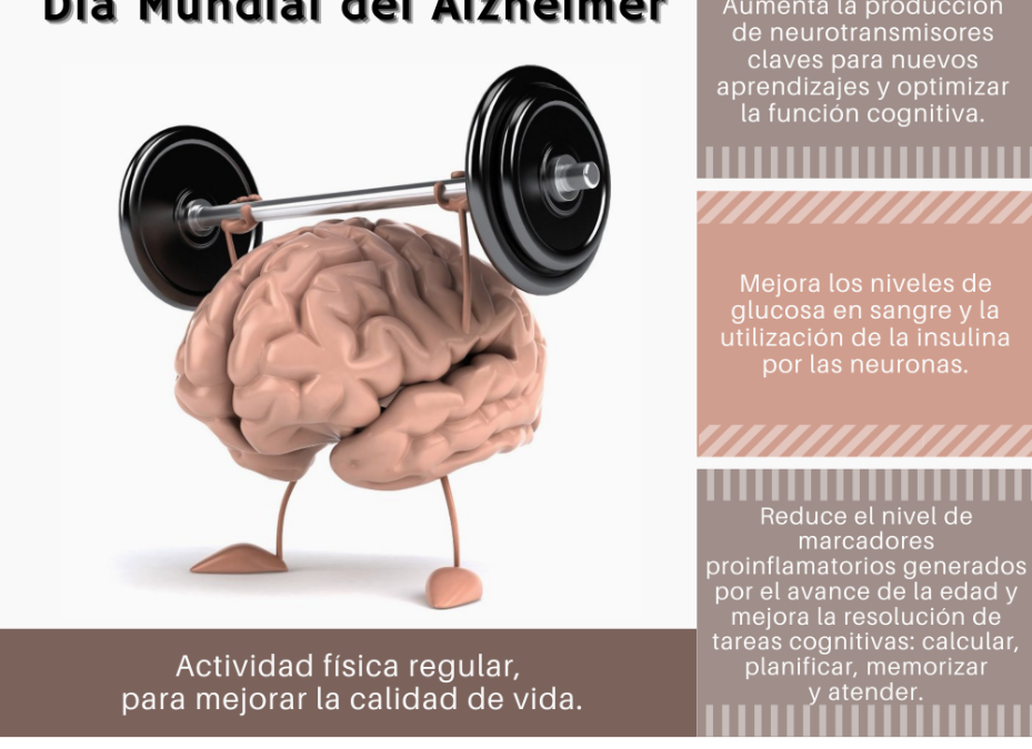 Actividad física, aliada en la prevención y tratamiento de personas con Alzheimer