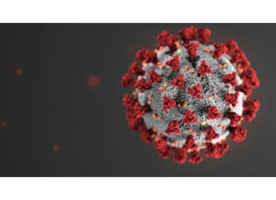 ¿Existe la posibilidad de una reinfección por COVID-19?