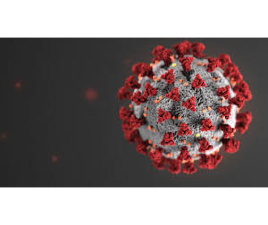 Existe la posibilidad de una reinfección por COVID-19 – 05-11-2020