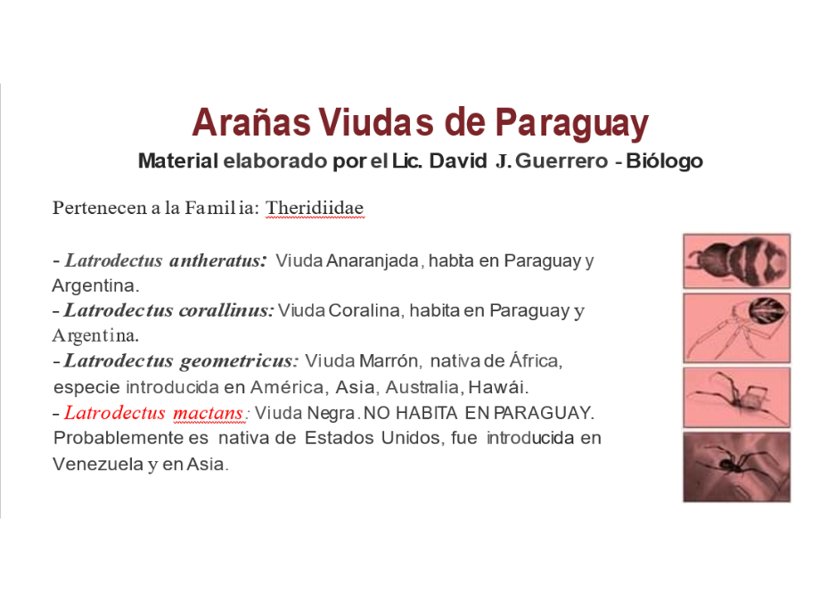 Es obligatoria la notificación de envenenamiento por arañas y otros animales ponzoñosos