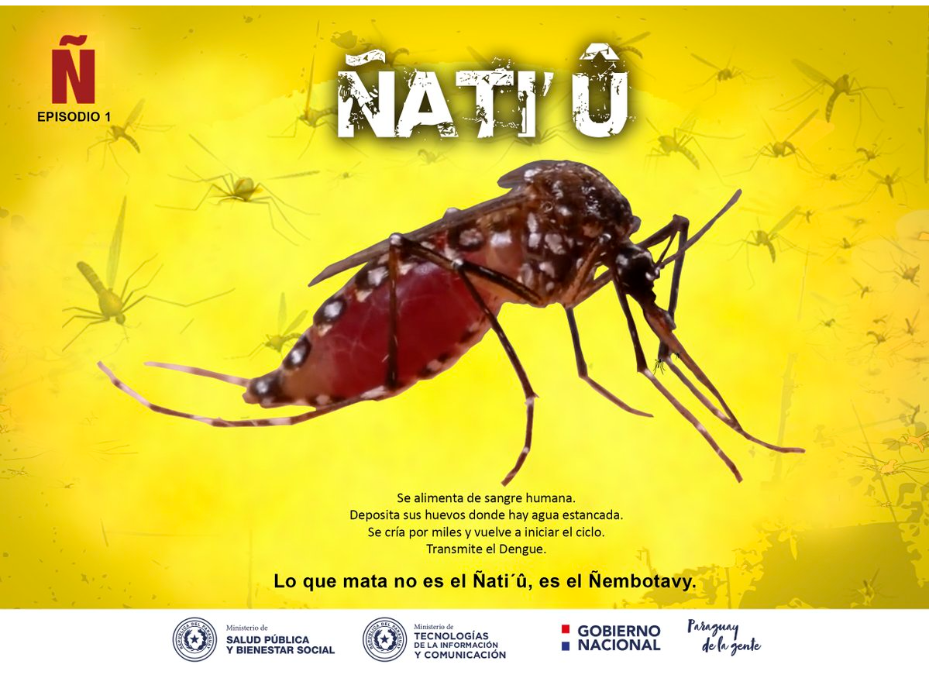 Concepción es epicentro de casos de dengue