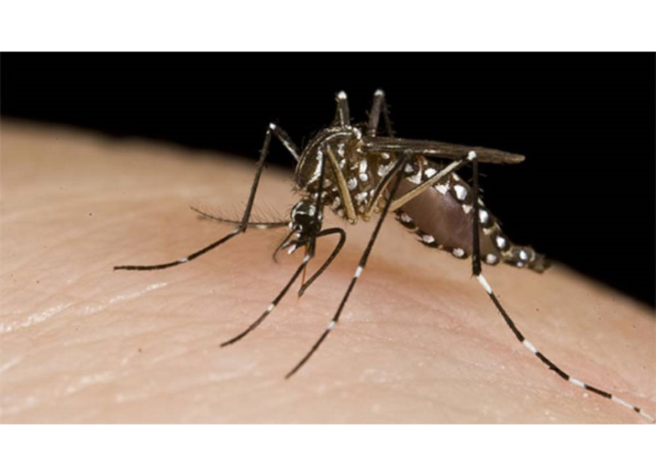 Se confirma el primer fallecido por dengue