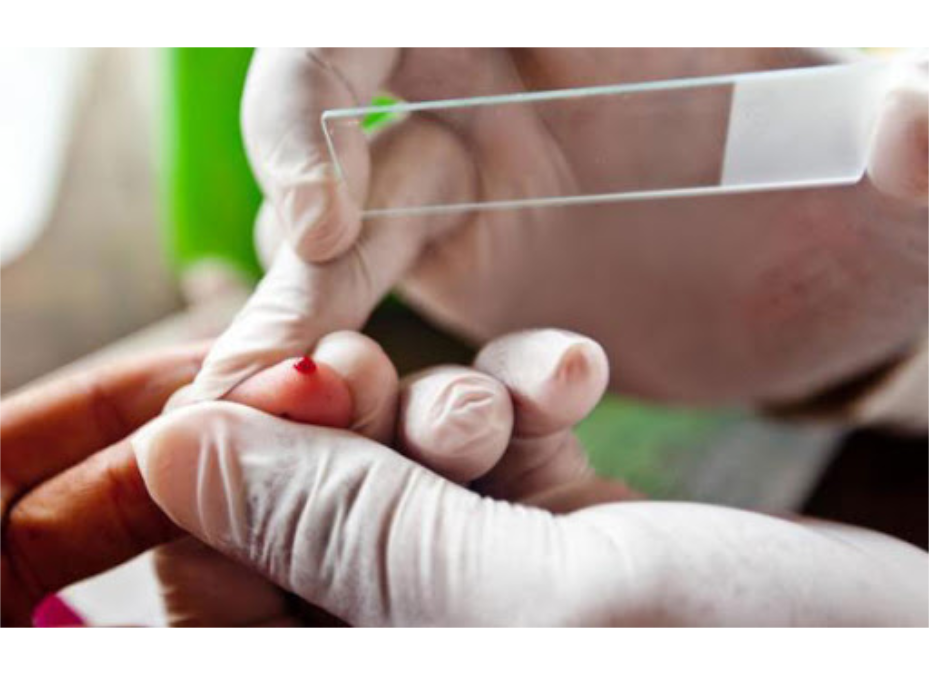 Articulan acciones para mantener al país libre de malaria