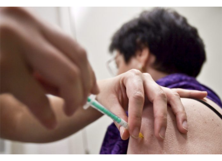 Confirman caso de fiebre amarilla en Santa Catarina