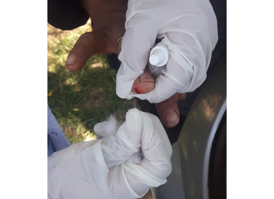 Culmina segunda ronda de estudios de seroprevalencia en Central