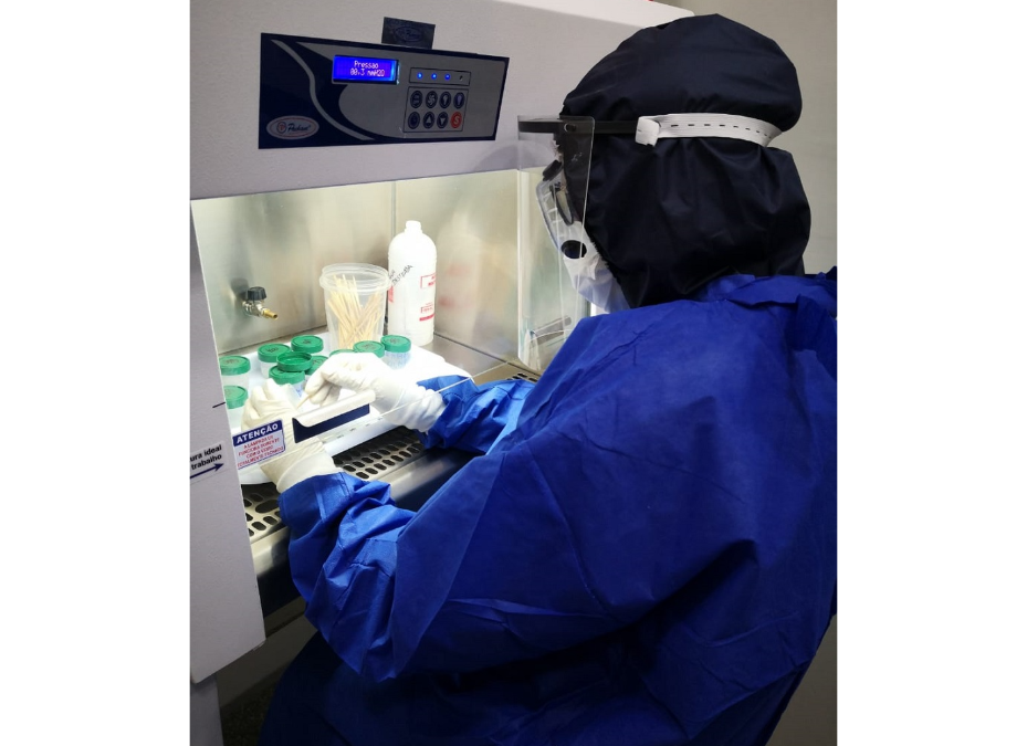 Se confirma circulación de variante brasileña de COVID-19 en el país