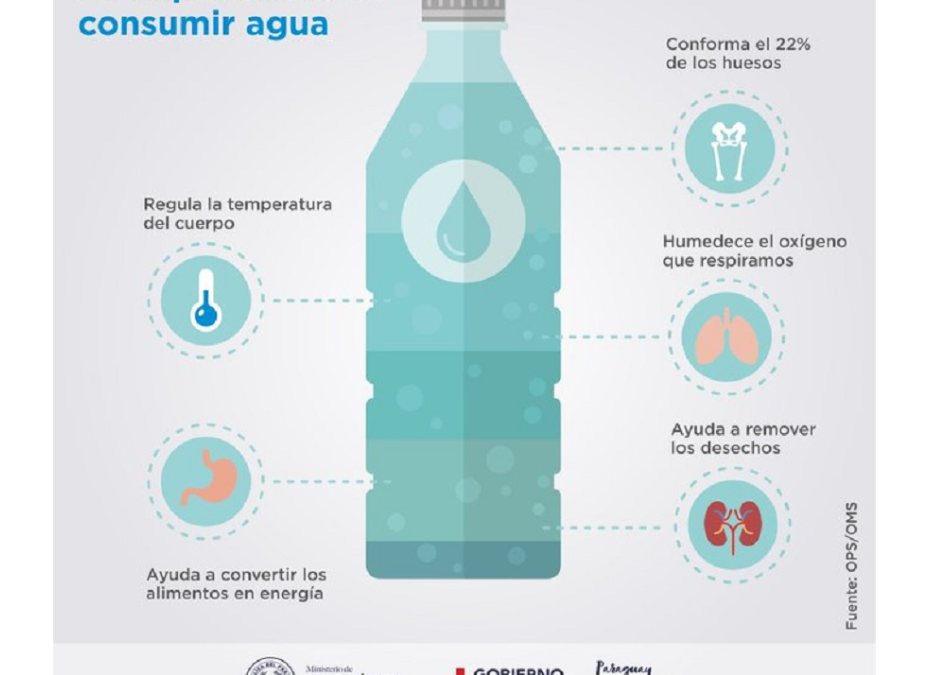 Tomar agua es esencial todos los días, todo el año