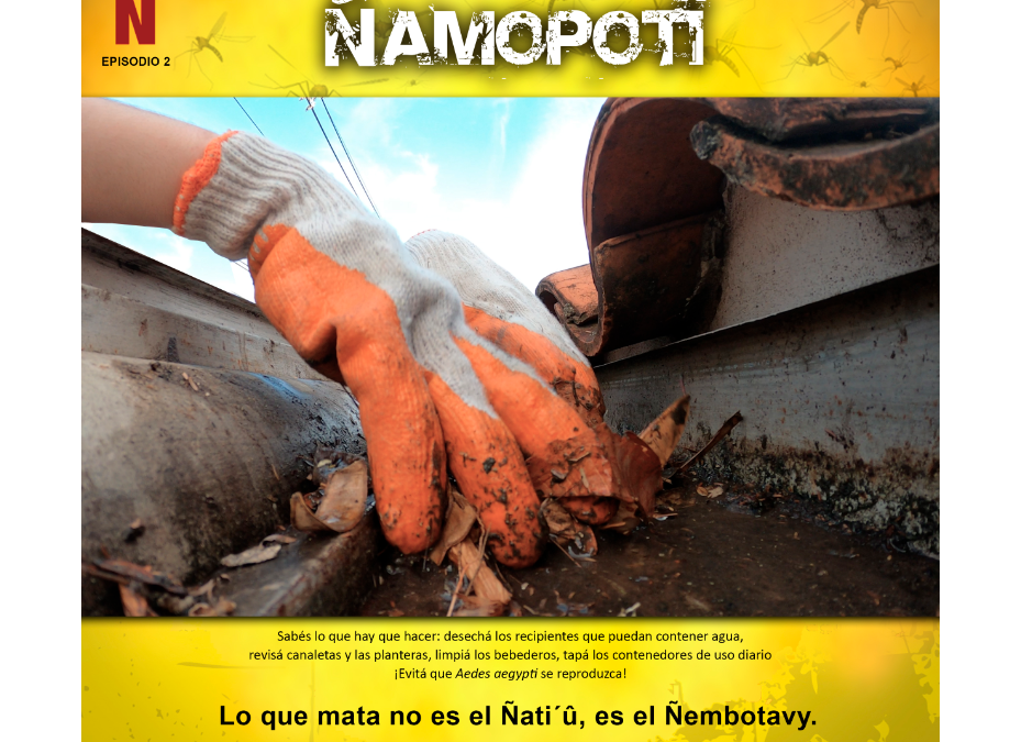 Unas 738 personas enfermaron de dengue este año