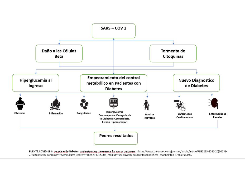 Complicaciones que causa el SARS-CoV2 en personas con diabetes