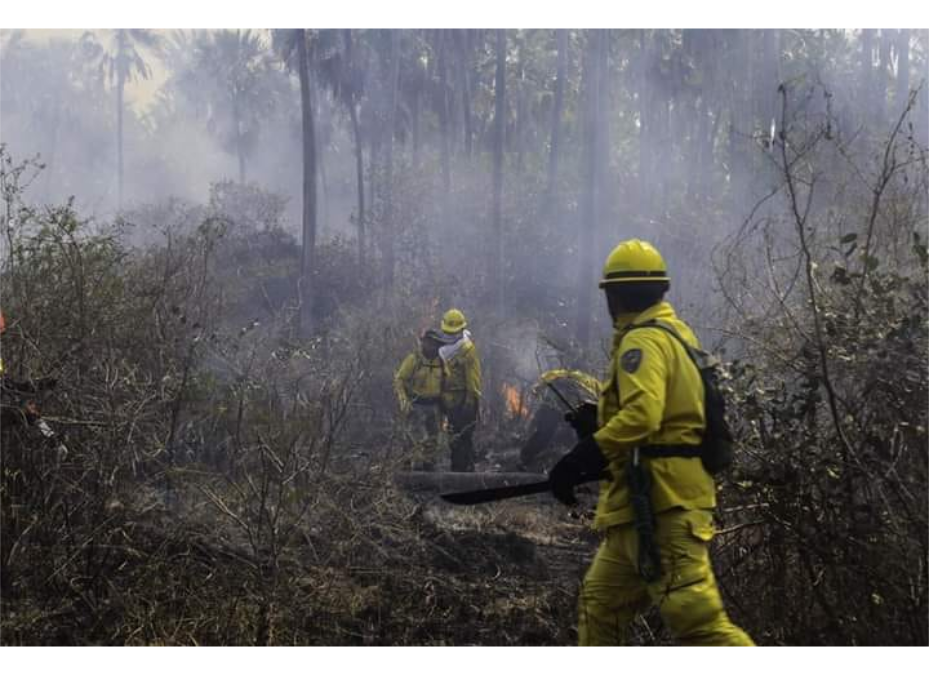 Focos de incendios en Concepción