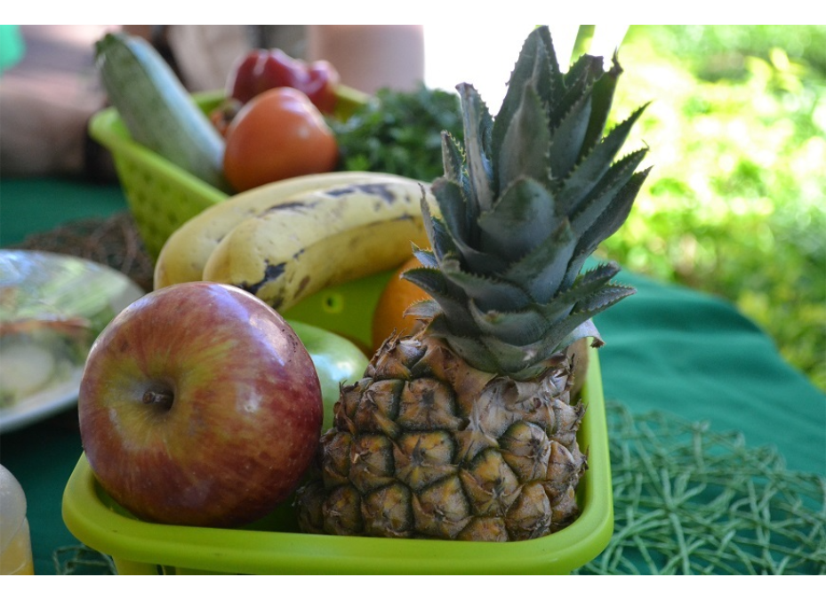 Nutricionistas instan a mantener una alimentación saludable para reforzar el sistema inmunológico