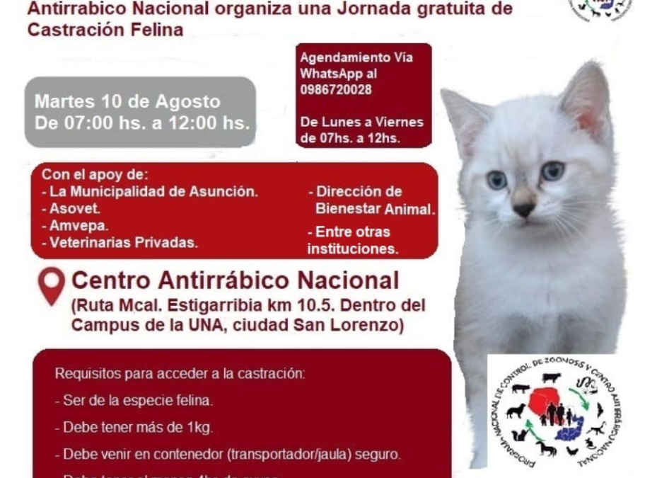 Por salud se recomienda la castración felina