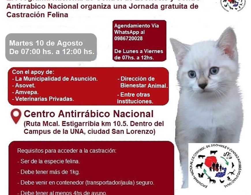 Por salud se recomienda la castración felina