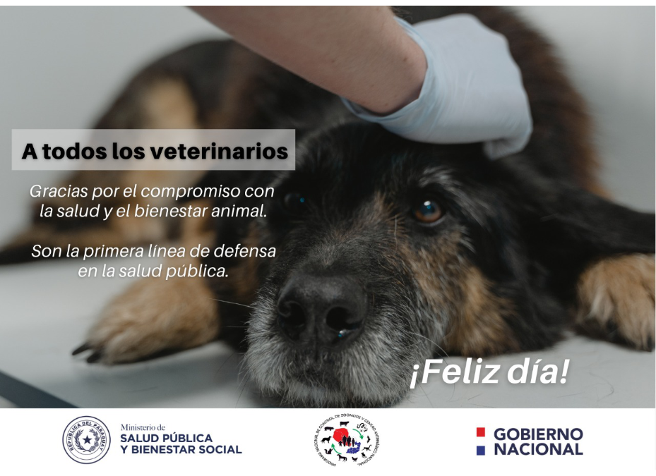 Veterinaria: una profesión de entrega, amor y compromiso con el bienestar animal