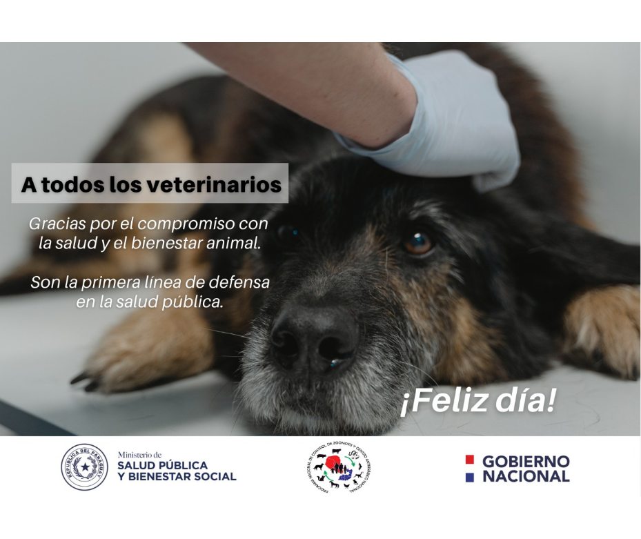 Veterinaria una profesión de entrega, amor y compromiso con el bienestar animal – 10-08-2021