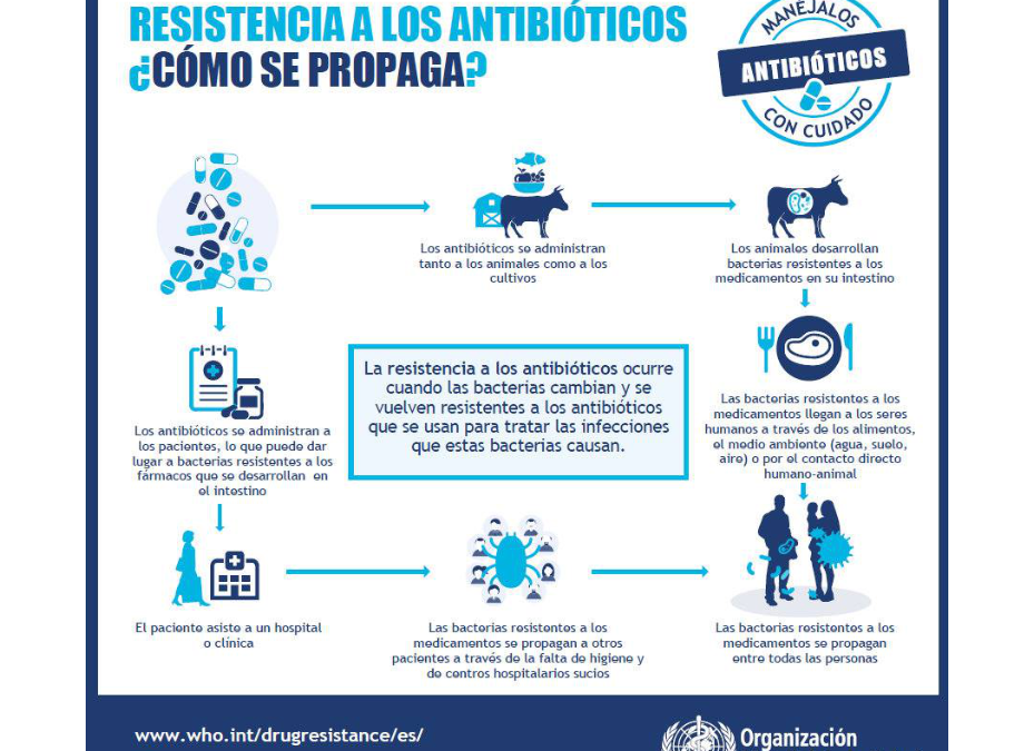 El uso inadecuado de antibióticos pone en riesgo su salud