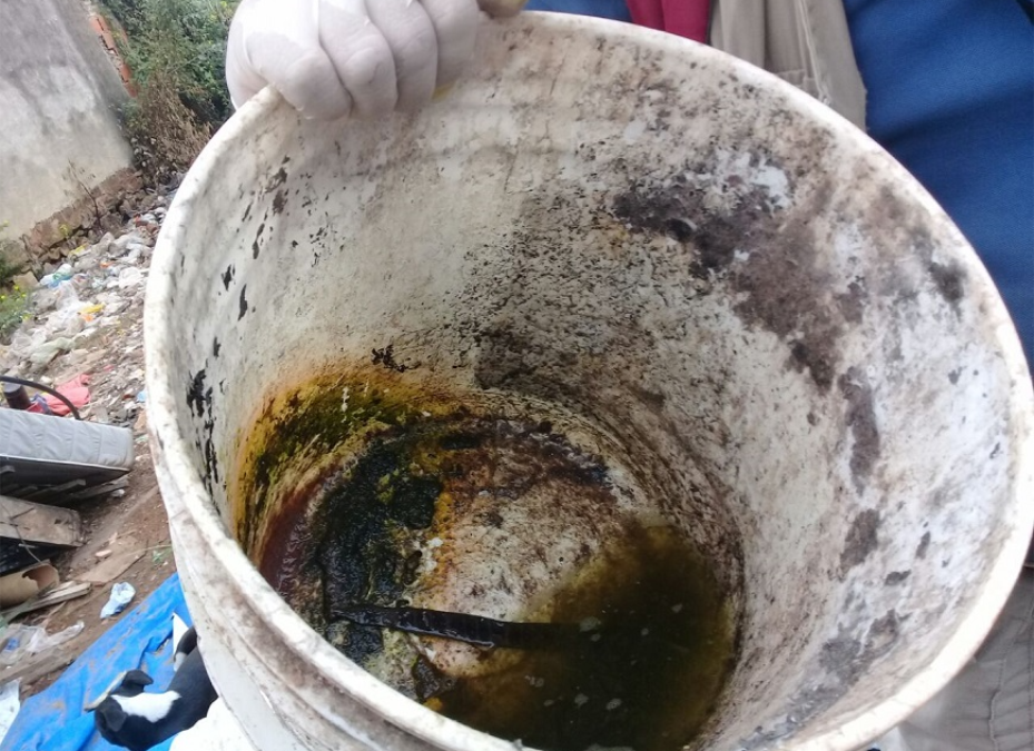 Dengue: notificaciones de cuadros sospechosos llegan a 335 por semana