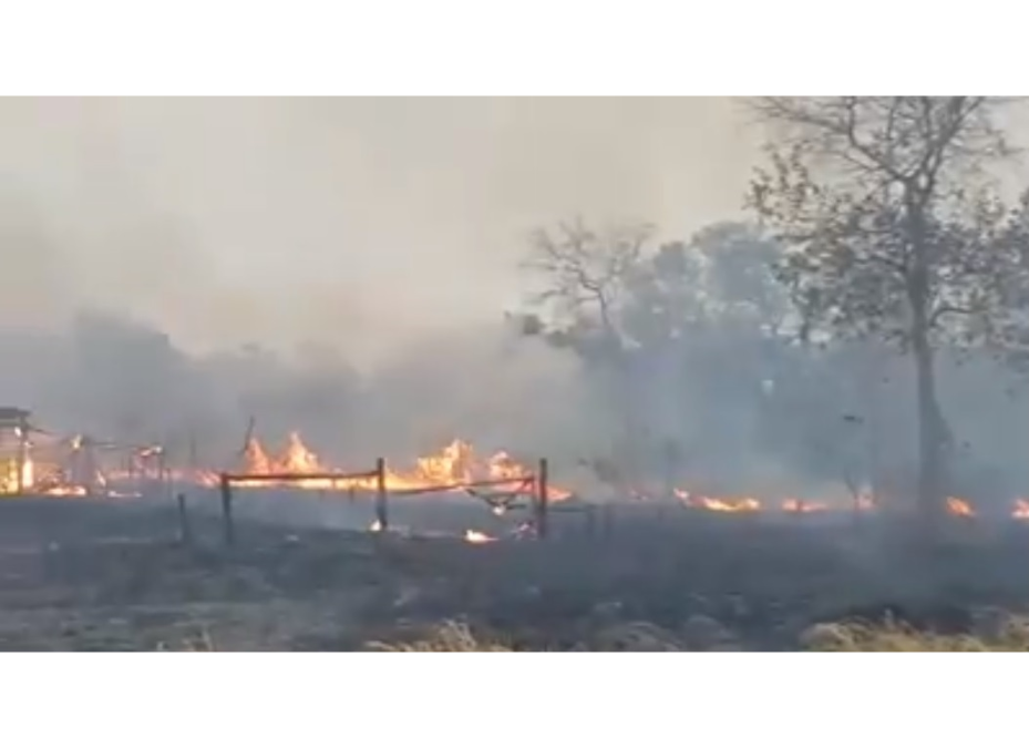 Condiciones de sequía e incendios forestales afectan la salud y la calidad del aire
