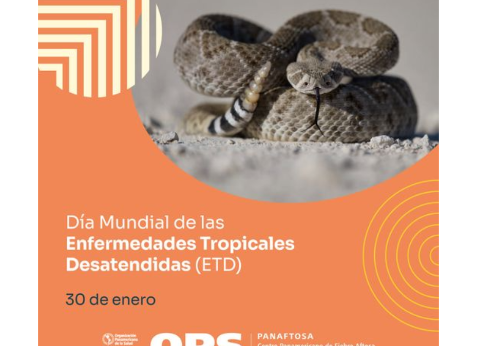 Sepa qué hacer si fue mordido o picado por un animal ponzoñoso