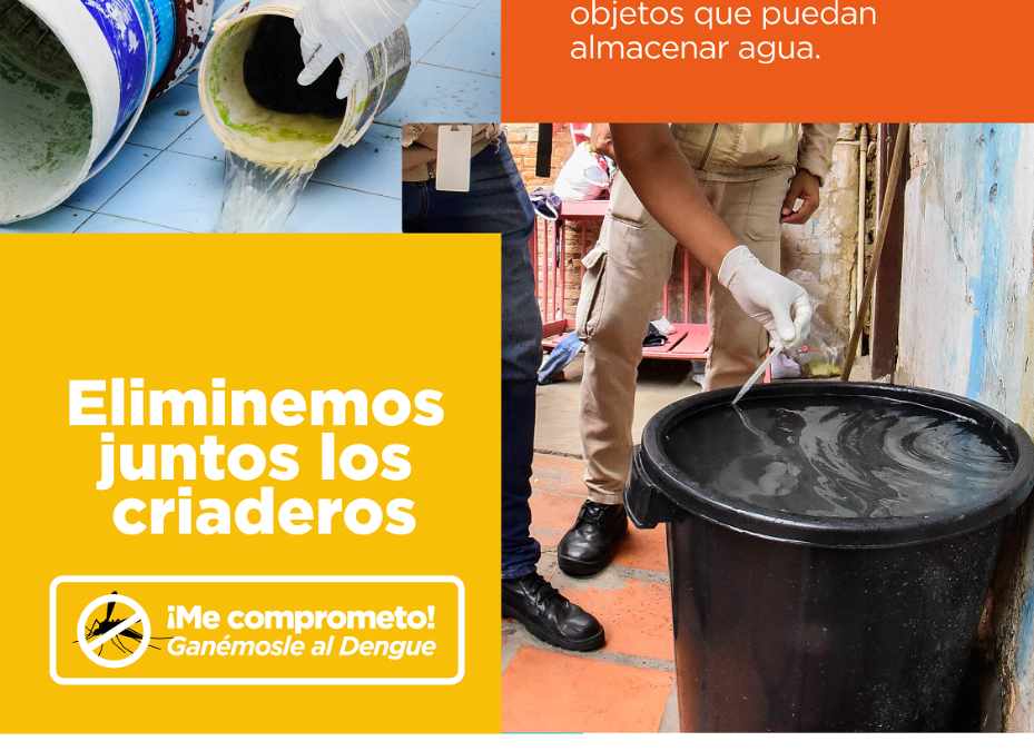 Notificaciones de dengue en descenso