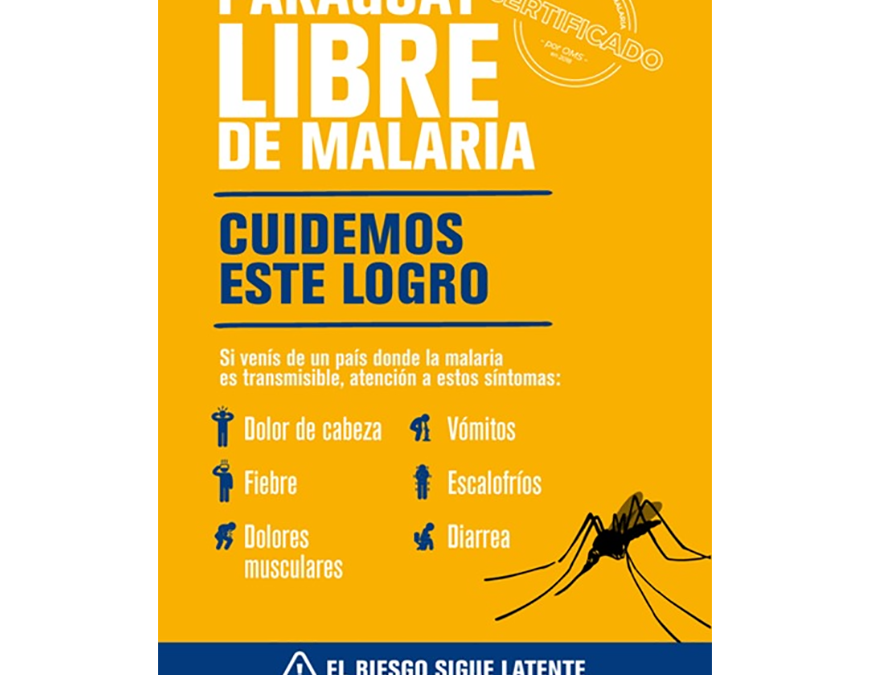 Malaria: pese a ser prevenible y curable, cada año causa miles de muertes en el mundo