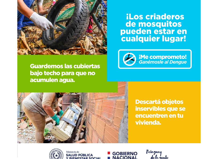 Se confirman dos casos de chikungunya, y el dengue avanza