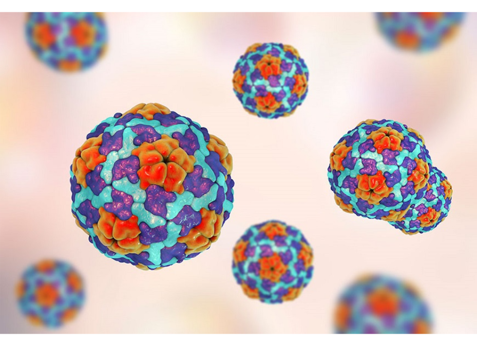 Hepatitis aguda: Hasta el momento no se identifica el agente etiológico causante