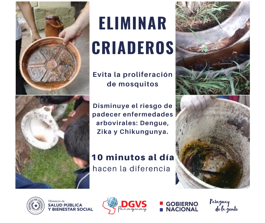 Incrementan los casos de dengue y chikungunya – 05-05-2022