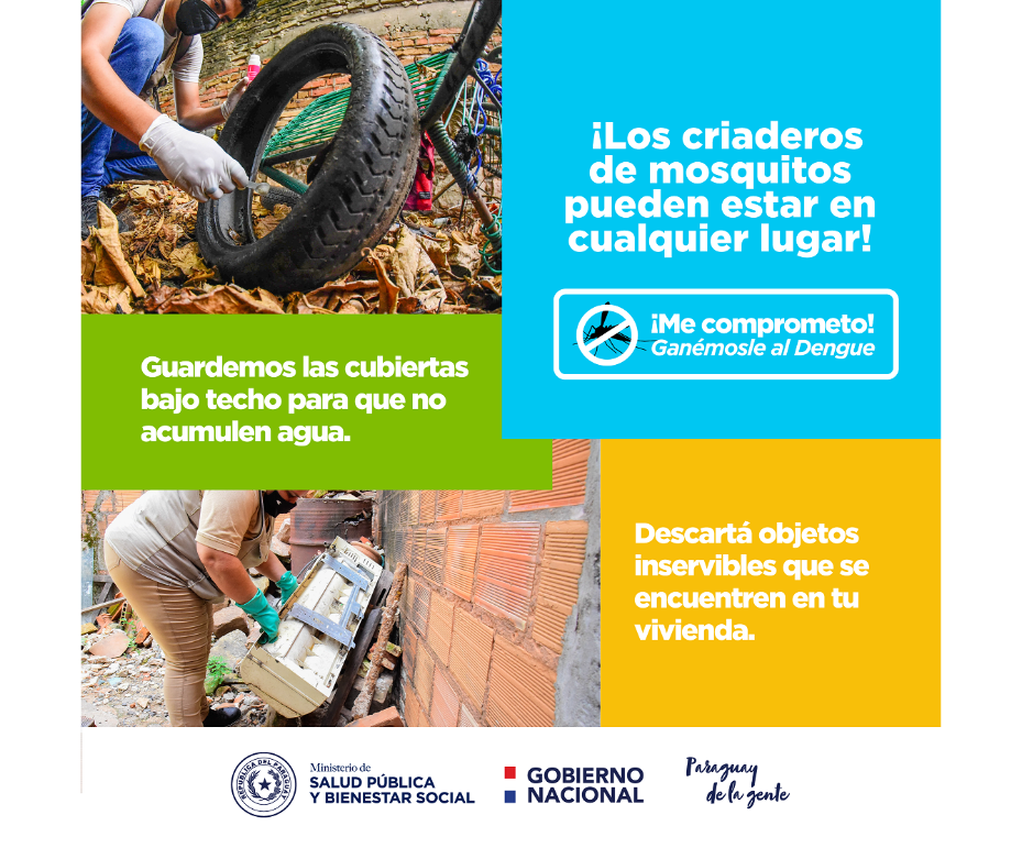 Se reportan 234 afectados por arbovirosis – 13-06-2022